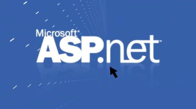 Asp.Net ile IP adresi bulmak